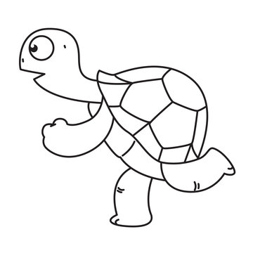 cartoon turtle, vector