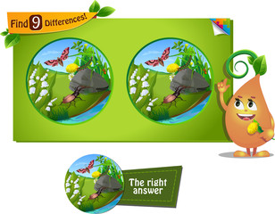 beetle, caterpillar 9 differences