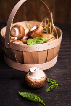 mushroom with green basil