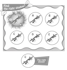 find right shadow ants bv