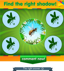 find right shadow bee