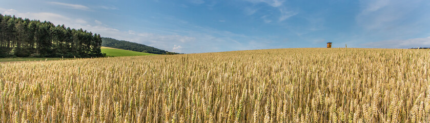 landwirtschaft