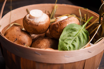 mushroom with green basil