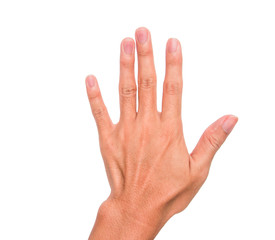 A hand rising sign meaning present, five, etc. with white backgroud