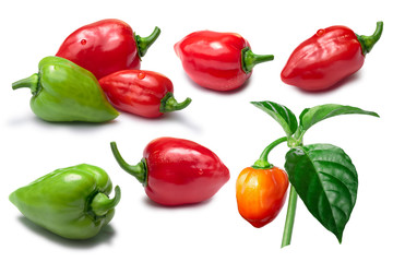 Set of red, orange and green Habanero peppers