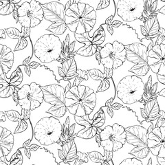Vector seamless pattern with hand drawn bindweed flowers. 