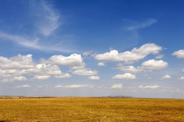 Savannah landscape in the National park of Kenya