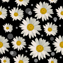 Seamless pattern with daisy flowers - 116050671