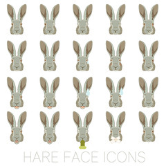 Set of Hare faces