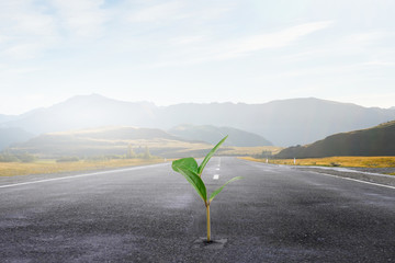 Grow your income . Mixed media