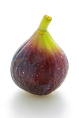 Red fig