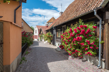 Medieval alley in the historic Hanse town Visby on Swedish Baltic sea island Gotland