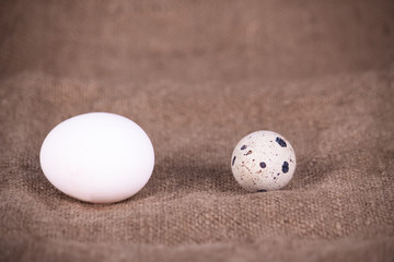 quail eggs on sacking