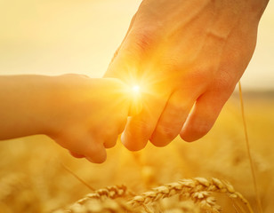 Hands of father and daughter on sun