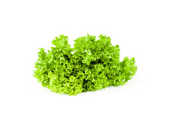 Lettuce isolated on white background