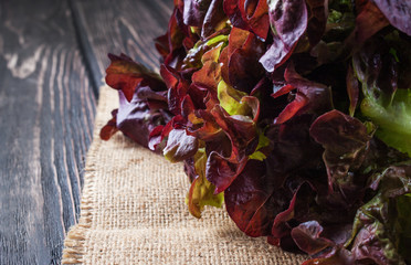 Lettuce on wood background