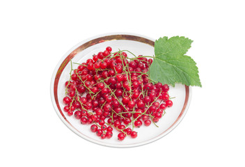 Berries of redcurrant and leaf on saucer