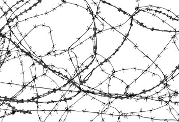 Barbed wire on white background - obrazy, fototapety, plakaty