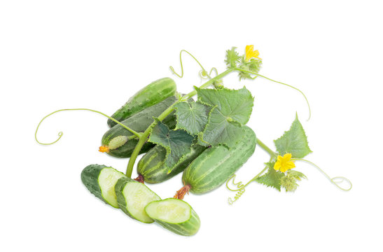 Several cucumbers with stem on a light background