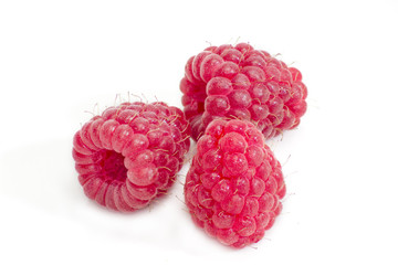 Three berries of red raspberry on a light background closeup