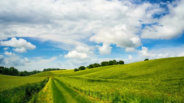 Timelapse Video von gr&uuml;nen Feldern und ziehenden wei&szlig;en Wolken