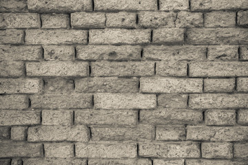 detail of a dated wall in Burano island, Venice