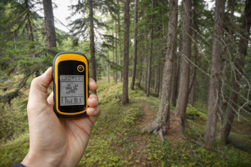 finding the right position in the forest via gps ( blurred background)