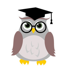 Cute education owl vector
