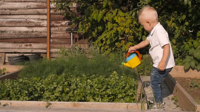 Cute Little Boy Waters Greenery From a Garden Watering Can. Little Gardener Concept