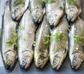 Rainbow trouts on a glass board and stone table with herbs 