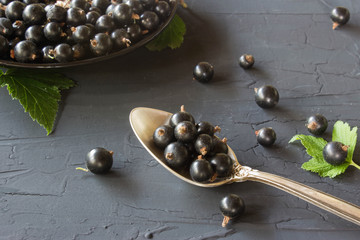 black currant berries in silver spoon on black background