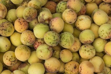 background apricot wrinkled dirty and beaten