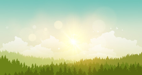 vector illustration of green landscape of sunny morning.

