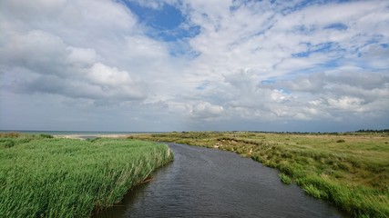 A river ending at the beach in Denmark