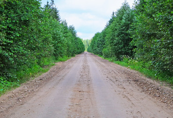 Fototapeta na wymiar dirt road through deciduous forest