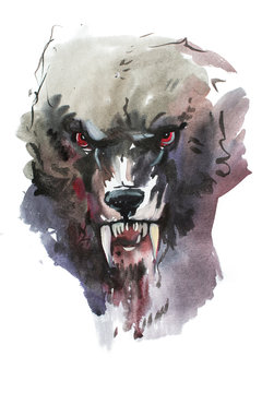 Watercolor drawing of black angry looking wolf. Animal portrait on white background.