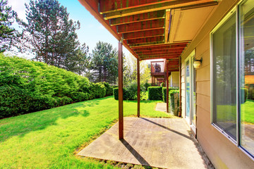 Green backyard garden with trees, trimmed hedges and bushes