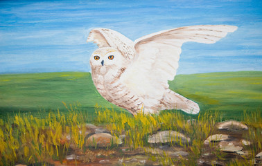 White snowy owl with raised wings - 116067617