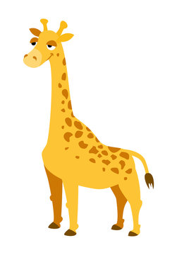vector illustration funny yellow giraffe on a white background