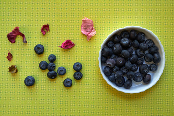Blueberries in small white plate with a few berries and flower petals next to it on yellow background