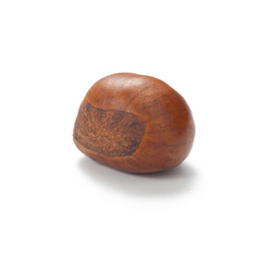 close up of fresh chestnut isolated on white background