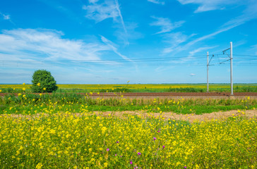 Railroad through nature in summer