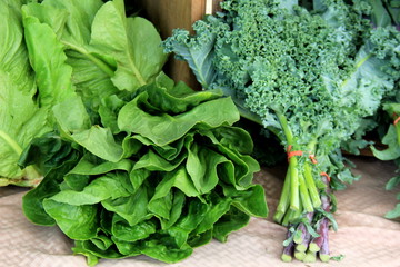 Different varieties of lettuce, wrapped with heavy elastic, on display and for sale at local farmers market.