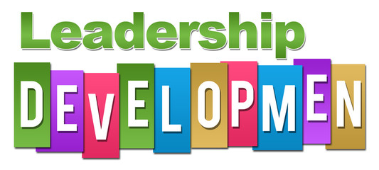 Leadership Development Professional Colorful 
