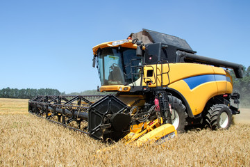 Combine harvests wheat on a field in sunny summer day