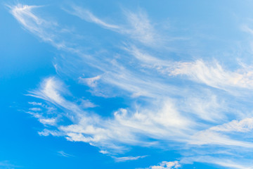 Obraz premium Beautiful sky