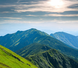 Mountain covered green trees in background of sunny sky