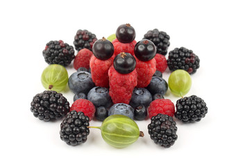different berries in order laid out on a white background