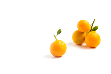 Orange Kumquat placed on white background