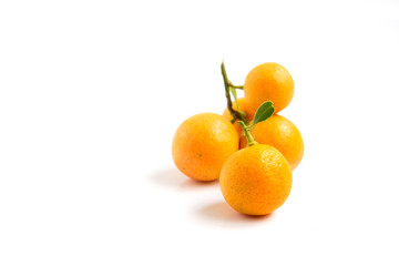 Orange Kumquat placed on white background